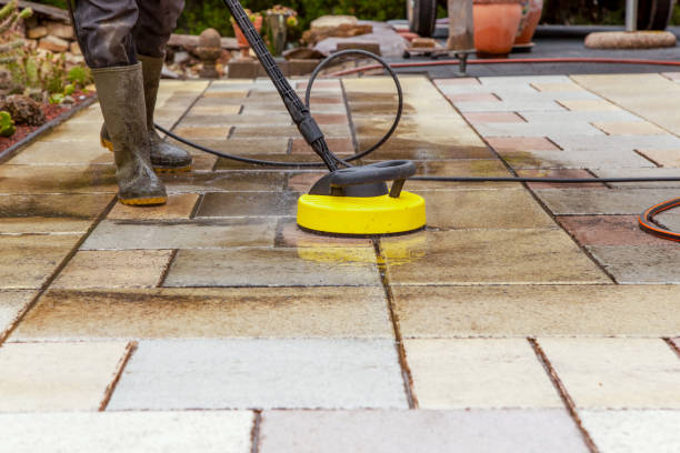 Animal Enclosure Cleaning in Six Mile Run, NJ